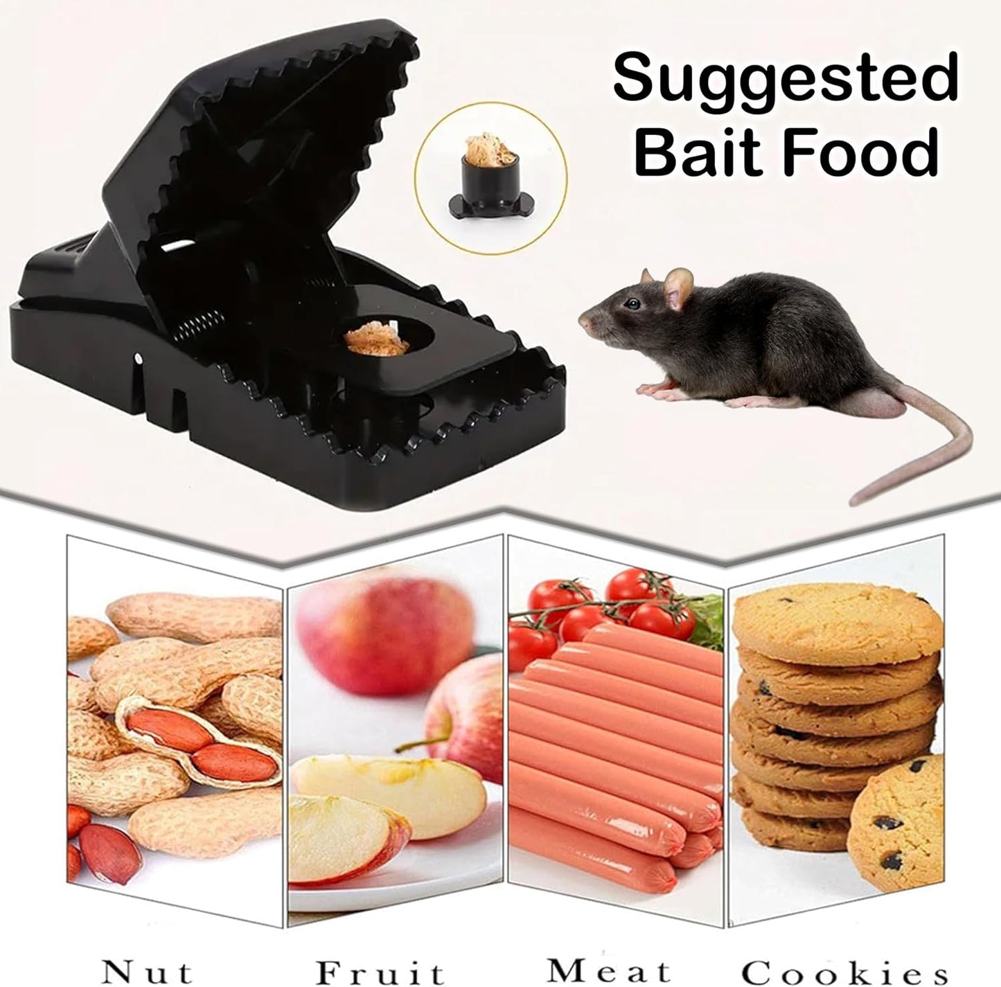 Automatic Mouse Trap