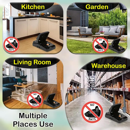 Automatic Mouse Trap